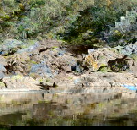 Boonoo Boonoo National Park - Taree Accommodation