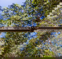 Bribie Island Bicentennial Trails - Taree Accommodation