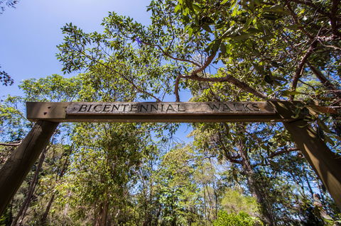 Bribie Island Bicentennial Trails - Taree Accommodation 0