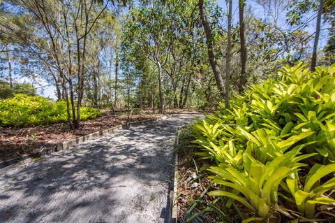 Bribie Island Bicentennial Trails - Taree Accommodation 1