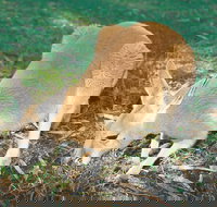 Caversham - Taree Accommodation