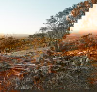 Chick Hill Walk - Taree Accommodation