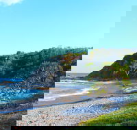 Clay Head - Taree Accommodation