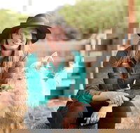 Creswick Woollen Mills - Taree Accommodation