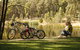 Creswick Regional Park - thumb 0