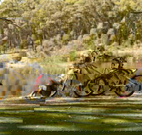 Creswick Regional Park - Taree Accommodation