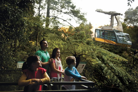 Furber Steps - Taree Accommodation 0