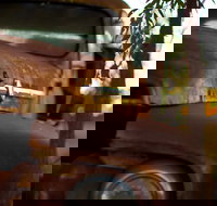 Gladstone into the Hinterland - Taree Accommodation