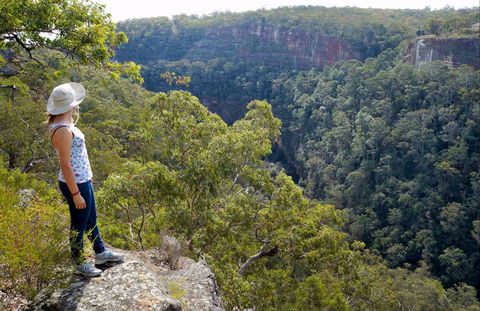 Glenbrook Gorge Track - Taree Accommodation 0