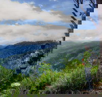 Gloucester Falls Walking Track - Taree Accommodation