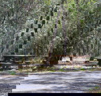 Goonoowigall State Conservation Area - Taree Accommodation