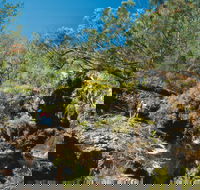 Kroombit Tops National Park - Taree Accommodation