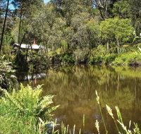 Kurth Kiln Regional Park - Taree Accommodation