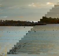 Lake Inverell Reserve - Taree Accommodation