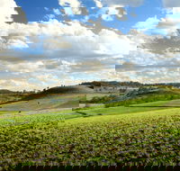 Lions Park Hodgson Vale - Taree Accommodation