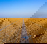 Matilda Way - Taree Accommodation