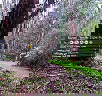 Mount Worth State Park - Taree Accommodation