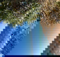 Richmond Valley Cultural Heritage Self Drive Tour - Taree Accommodation