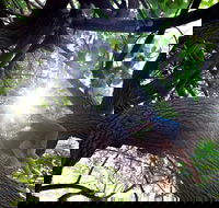 Scarborough Beach Park - Taree Accommodation