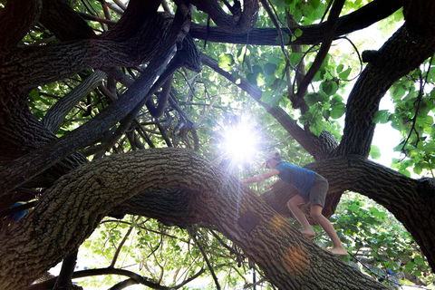 Scarborough Beach Park - Taree Accommodation 0