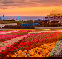 Table Cape - Taree Accommodation