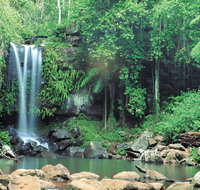 Tamborine National Park - Taree Accommodation