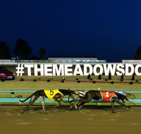 The Meadows - Taree Accommodation