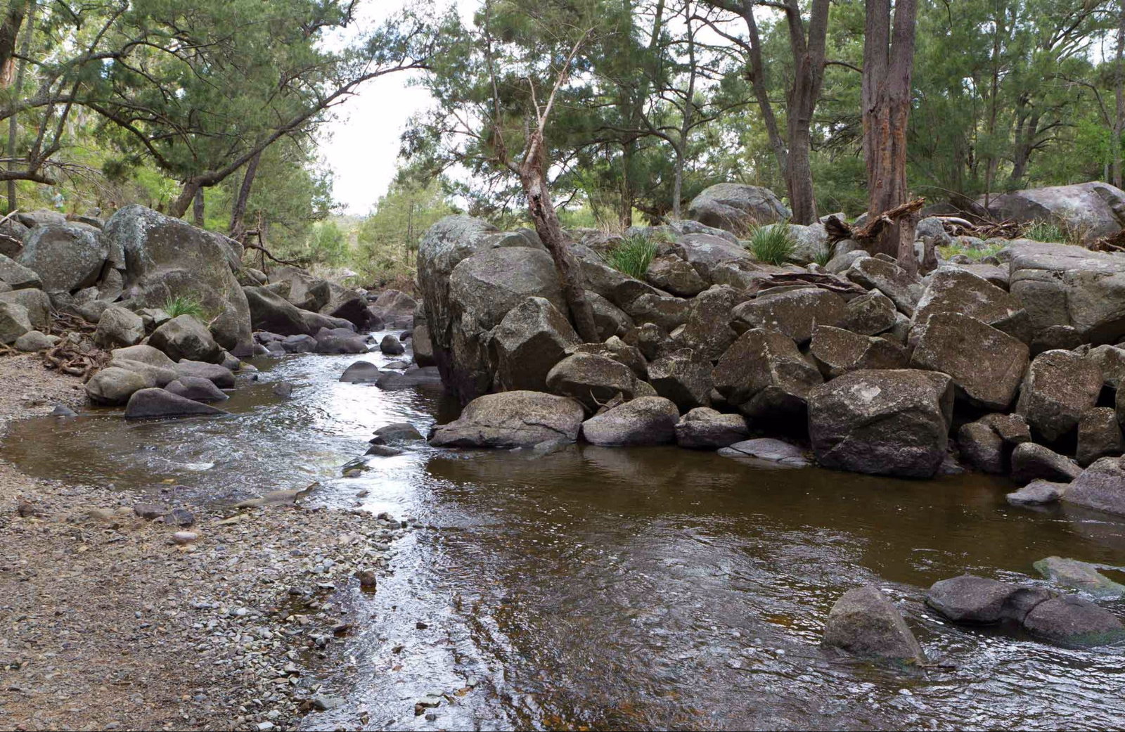 Argyle NSW Taree Accommodation