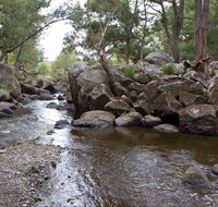 Threlfall Walking Track - Taree Accommodation