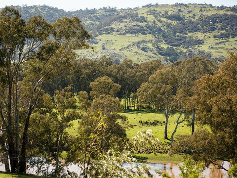Trawool Valley - Taree Accommodation 0