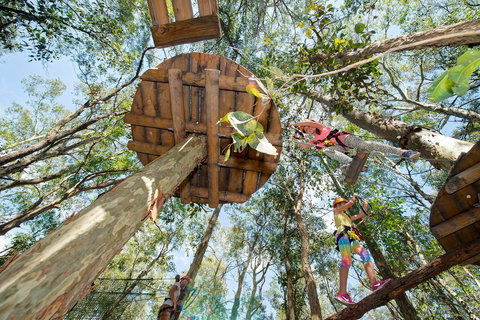 TreeTops Newcastle - Taree Accommodation 1