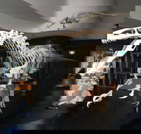 UNE Natural History Museum - Taree Accommodation