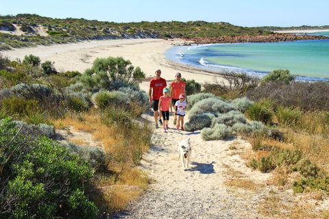 Walk The Yorke Trail - Taree Accommodation 1