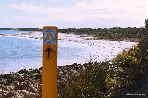 Walk The Yorke Trail - Taree Accommodation 2