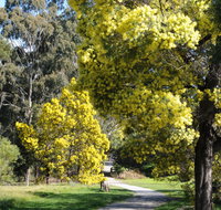 Wattle Park - Taree Accommodation