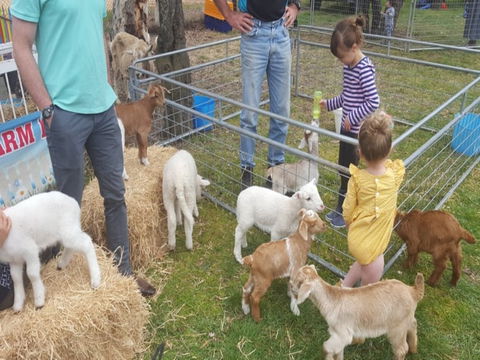 Animal Farm Visit - Taree Accommodation 2