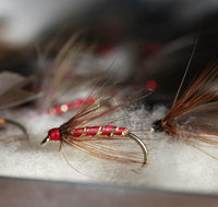 Australian Fly Fishing Museum - Taree Accommodation