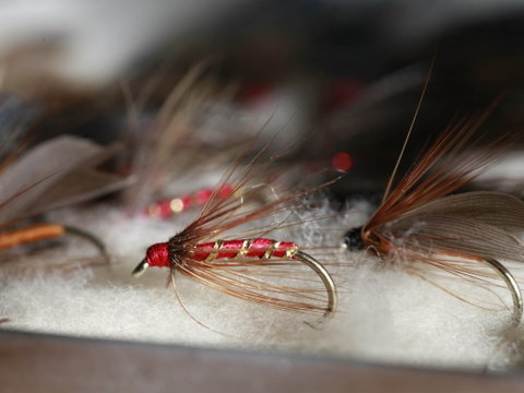 Australian Fly Fishing Museum - Taree Accommodation 0