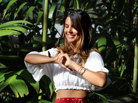 Australian Butterfly Sanctuary - Taree Accommodation 0