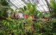 Australian Butterfly Sanctuary - thumb 2