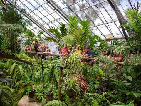 Australian Butterfly Sanctuary - Taree Accommodation 2