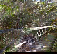 Awaba Bay Foreshore Walk - Taree Accommodation