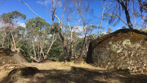 Bailey's Rocks - Dergholm State Park - Taree Accommodation 0