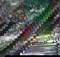 Banksia Track Burrum Coast National Park - Taree Accommodation