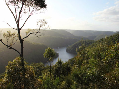 Berowra Valley National Park - Taree Accommodation 0