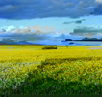 Borden - Taree Accommodation