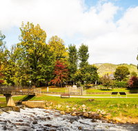 Bright - Taree Accommodation