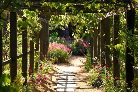Buda Historic Home & Garden - Taree Accommodation 2