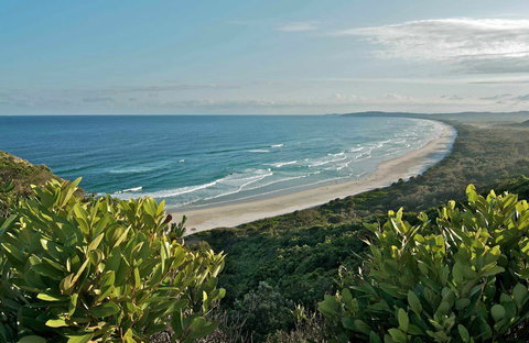 Cape Byron State Conservation Area - Taree Accommodation 0