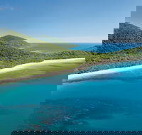 Cape Tribulation Daintree National Park - Taree Accommodation